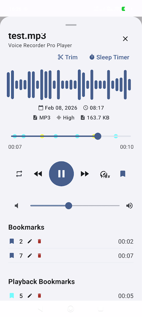 Voice Recorder Android App Interface Screenshot 3